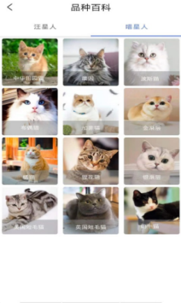 ԰app
