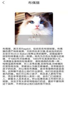 ԰app