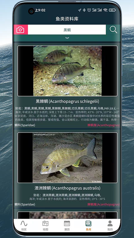 ϫappͼƬ2