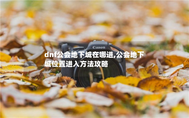 dnf³Ľ,³λý뷽