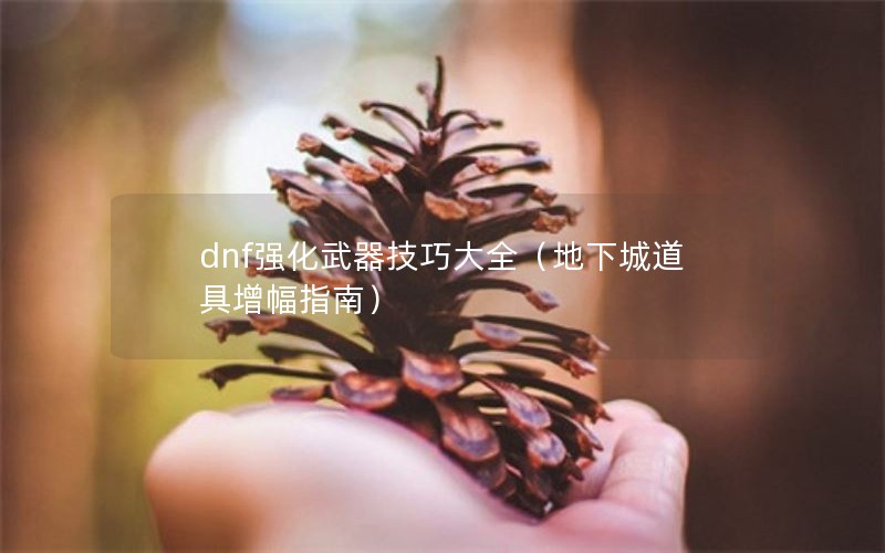 dnfǿɴȫ³ǵָϣ