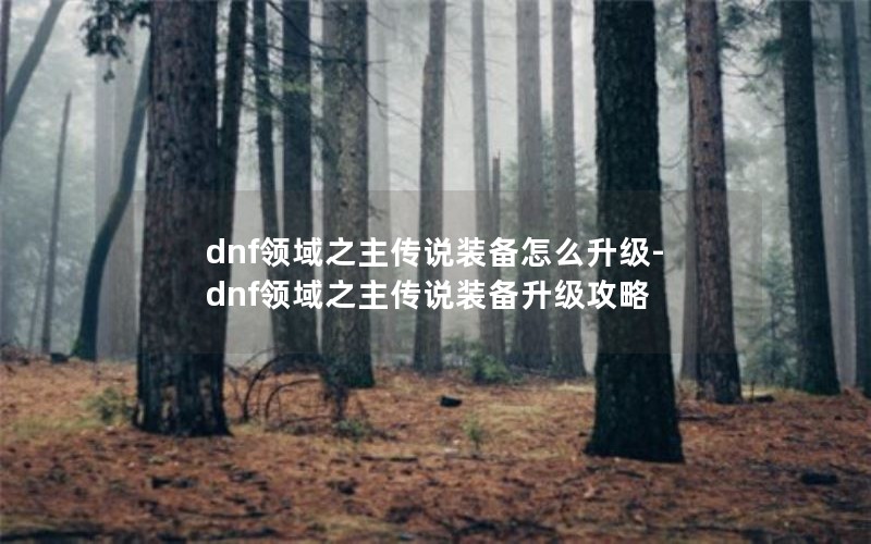 dnf֮˵װô-dnf֮˵װ