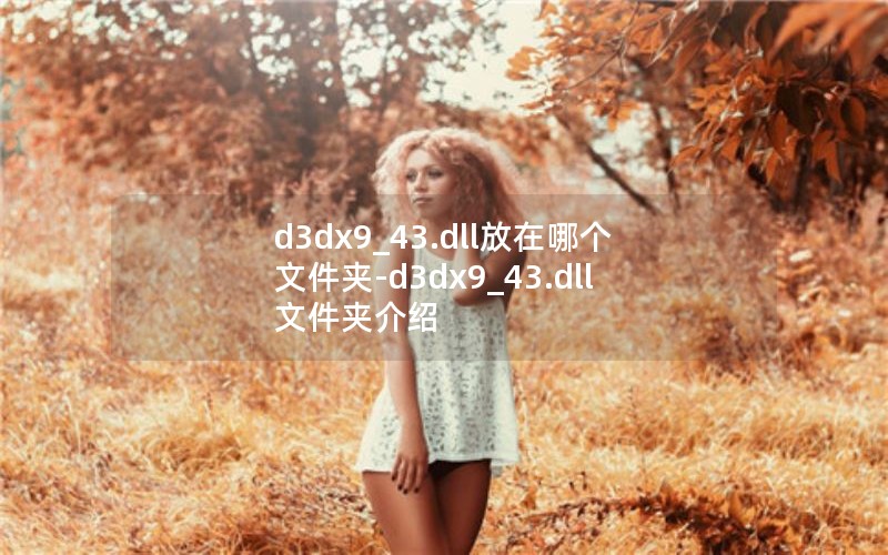 d3dx9_43.dllĸļ-d3dx9_43.dllļн
