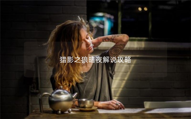 Ӱ֮ǰҹ˵