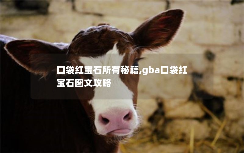ڴ챦ʯؼ,gbaڴ챦ʯͼĹ