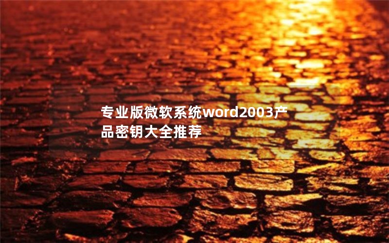 רҵ΢ϵͳword2003ƷԿȫƼ