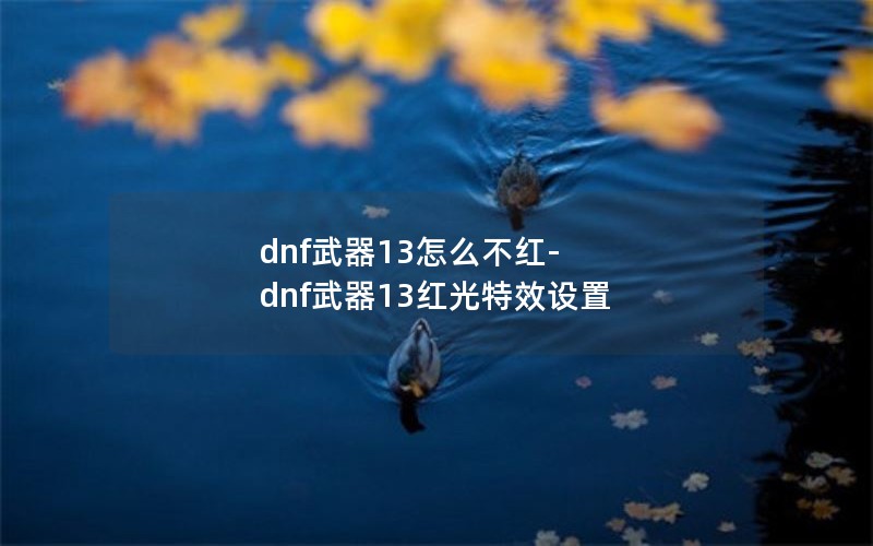 dnf13ô-dnf13Ч