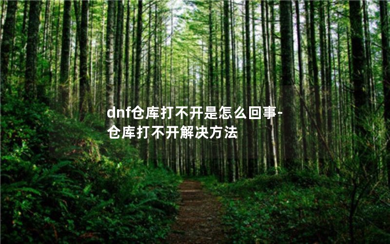 dnfֿ򲻿ô-ֿ򲻿