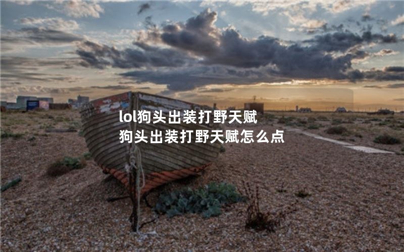 lolͷװҰ츳 ͷװҰ츳ô