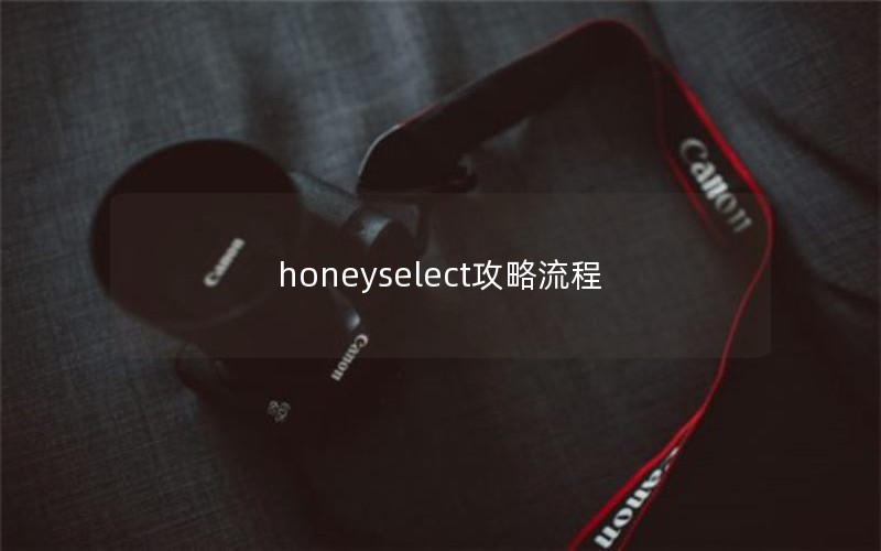 honeyselect