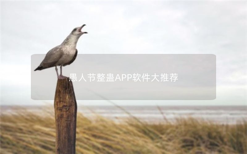 ˽APPƼ