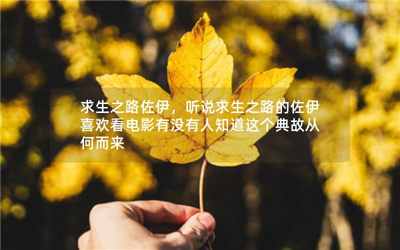 ֮·˵֮·ϲӰû֪ʴӺζ