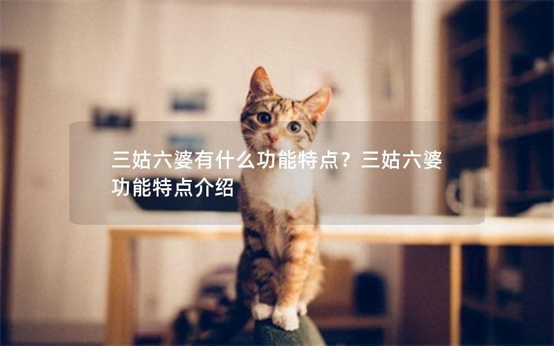 ʲôص㣿Źص
