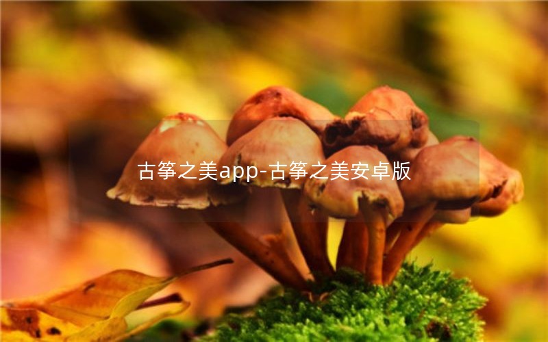 ֮app-֮׿