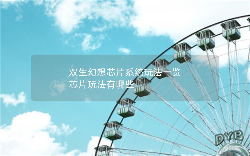 ˫оƬϵͳ淨һ оƬ淨Щ