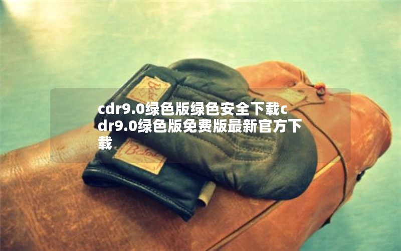 cdr9.0ɫɫȫcdr9.0ɫѰ¹ٷ