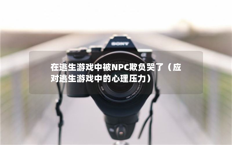 ϷбNPC۸ˣӦϷеѹ