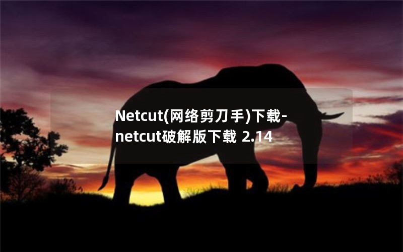 Netcut()-netcutƽ 2.14