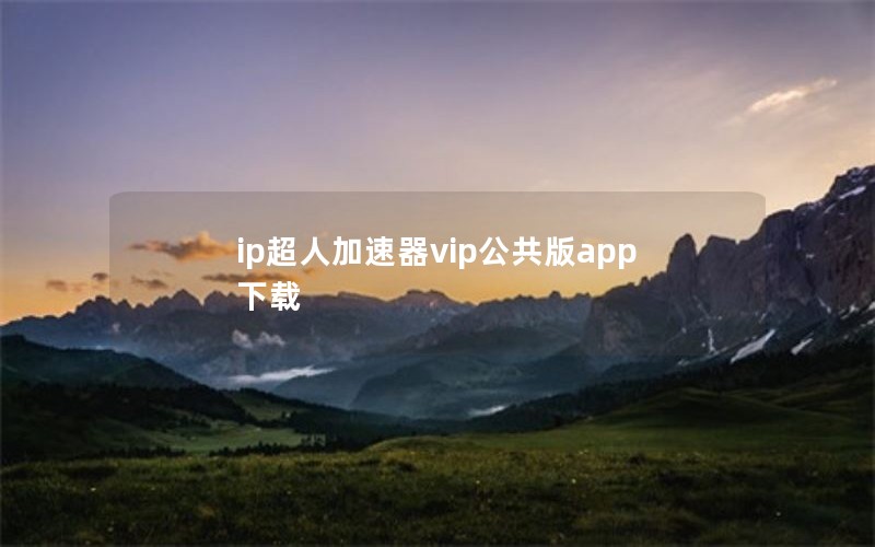 ip˼vipapp