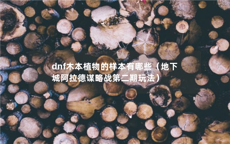 dnfľֲЩ³ǰıսڶ淨