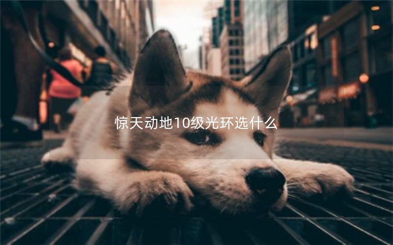춯10⻷ѡʲô