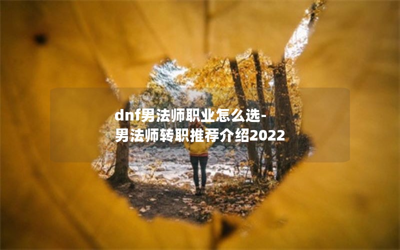 dnfзʦְҵôѡ-зʦתְƼ2022