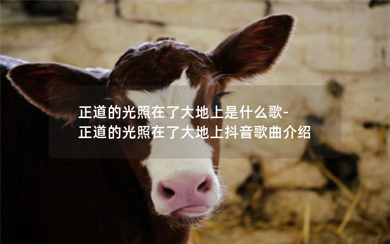 Ĺ˴ʲô-Ĺ˴϶