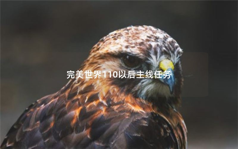110Ժ