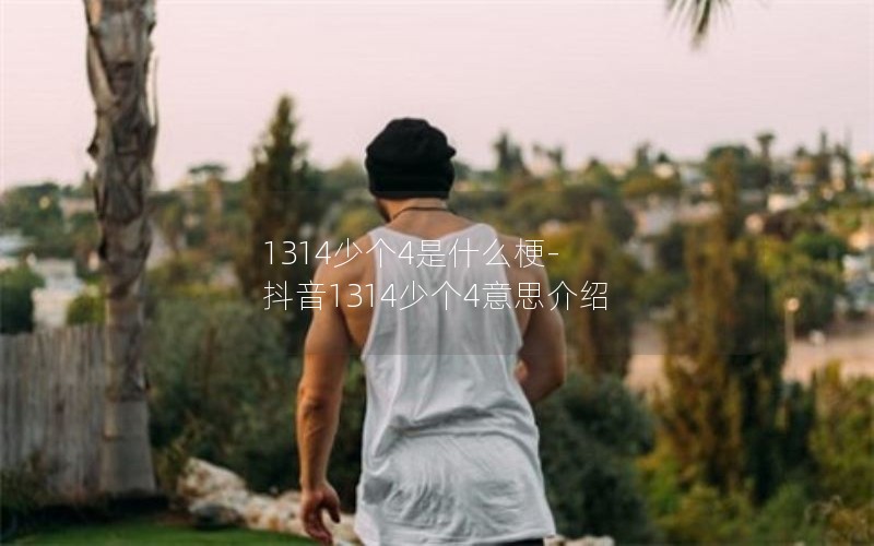 1314ٸ4ʲô-1314ٸ4˼