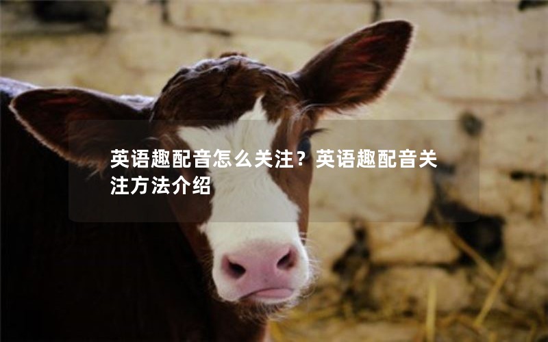 ӢȤôעӢȤע