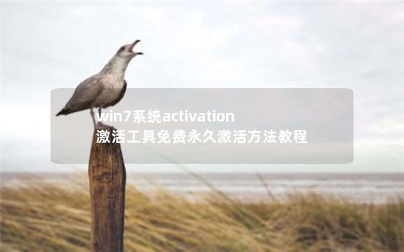 win7ϵͳactivationü̳