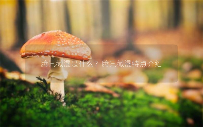 Ѷ΢ʲôѶ΢ص