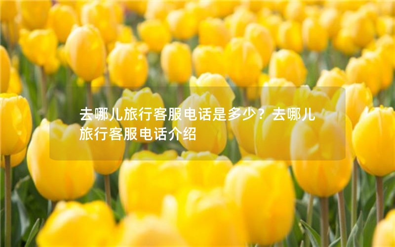 ȥĶпͷ绰Ƕ٣ȥĶпͷ绰