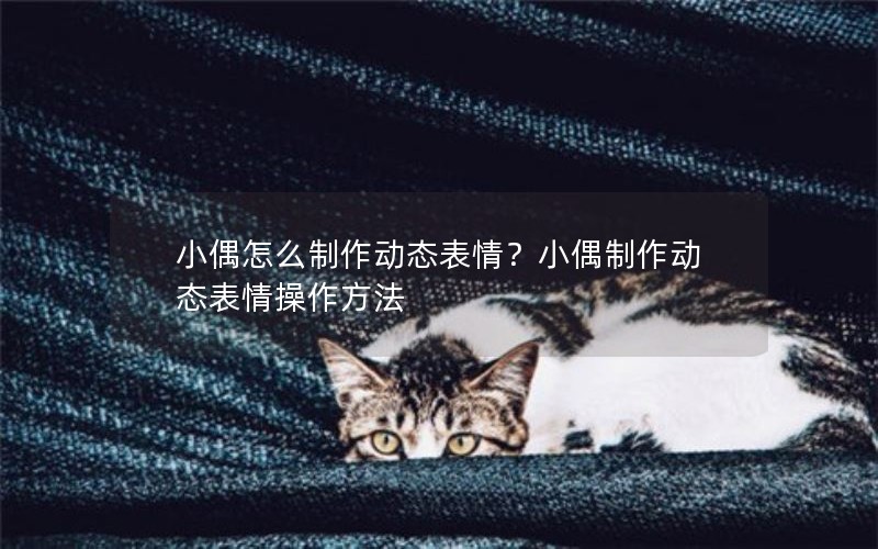 Сżô̬飿Сż̬
