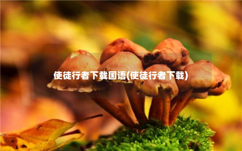 ʹͽع(ʹͽ)