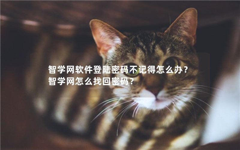 ѧ½벻ǵô죿ѧôһ룿