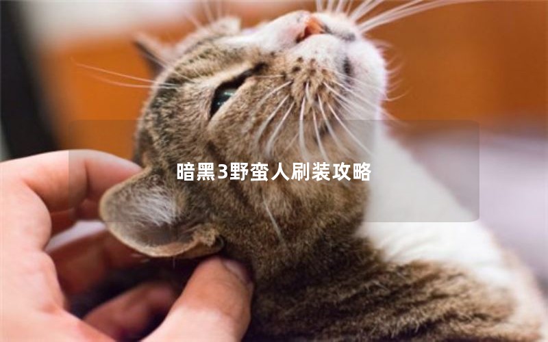 3Ұˢװ