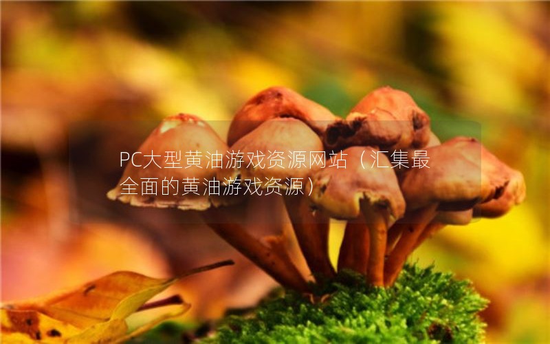 PCͻϷԴվ㼯ȫĻϷԴ