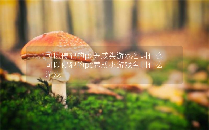 ַpcϷʲô  ַpcϷʲôϷ