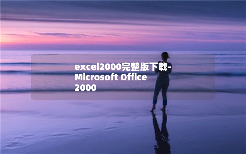 excel2000-Microsoft Office 2000