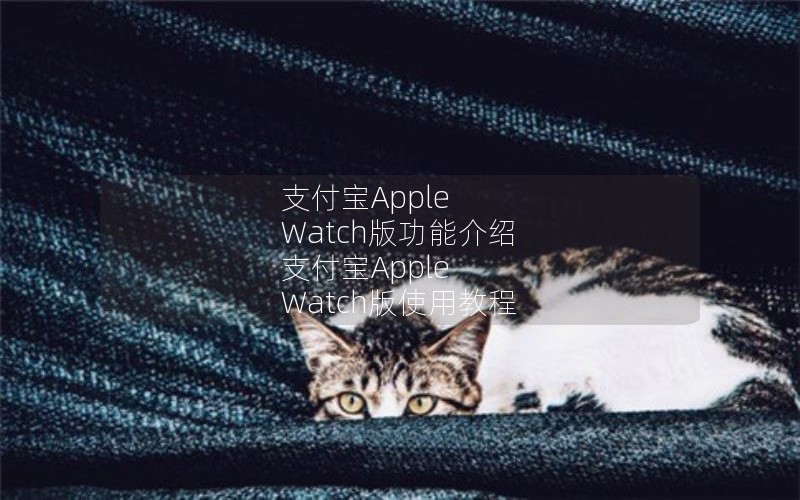 ֧Apple Watch湦ܽ ֧Apple Watchʹý̳