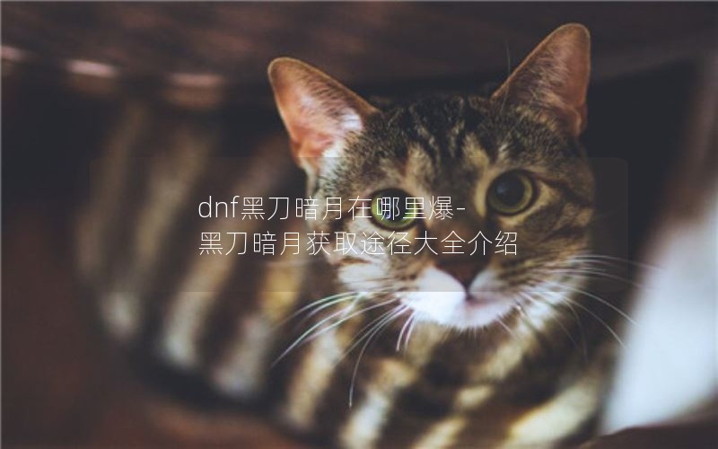 dnfڵﱬ-ڵ»ȡ;ȫ