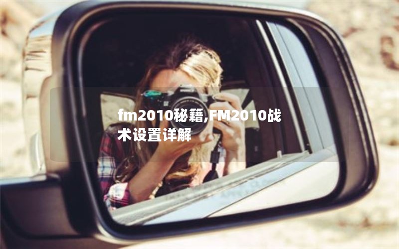 fm2010ؼ,FM2010ս