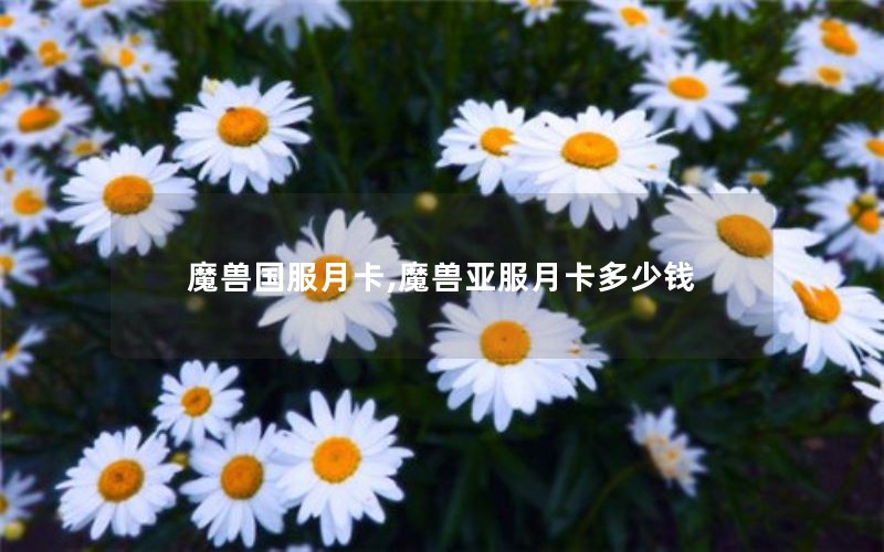 ħ޹¿,ħǷ¿Ǯ