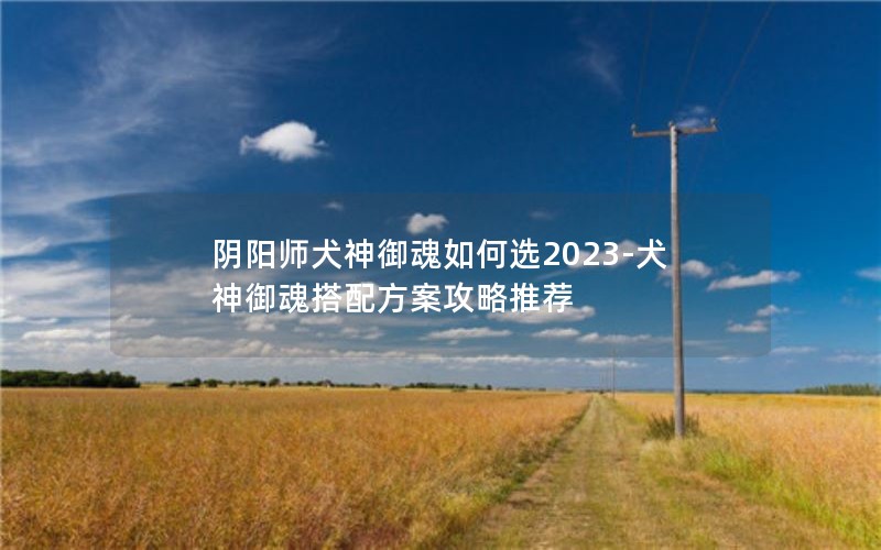 ʦȮѡ2023-Ȯ䷽Ƽ