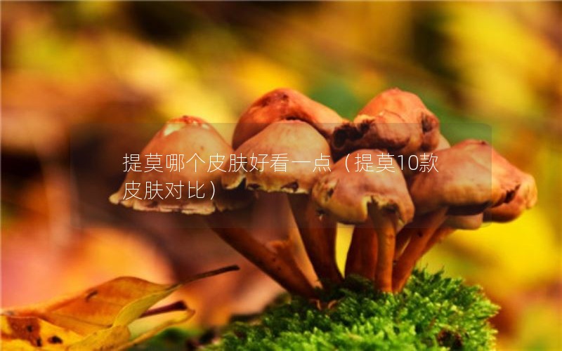 ĪĸƤÿһ㣨Ī10ƤԱȣ
