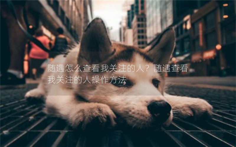 ô鿴ҹעˣ鿴ҹע˲