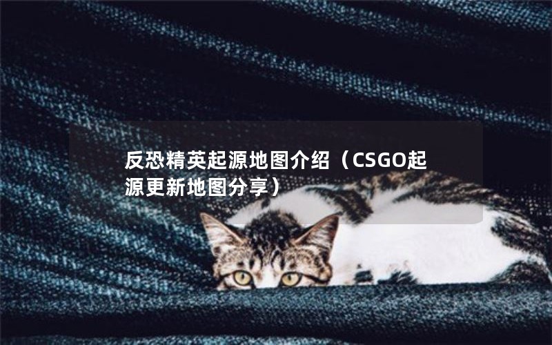 ־ӢԴͼܣCSGOԴµͼ
