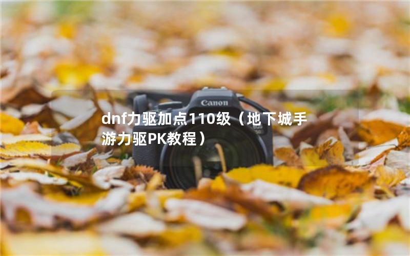 dnfӵ110³PK̳̣