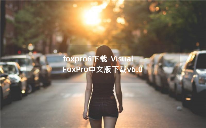 foxpro6-Visual FoxProİv6.0